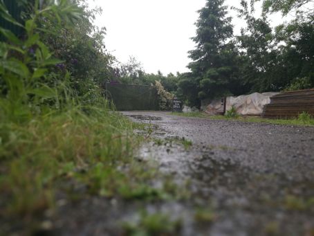 IMG-20170606-WA0010[1]