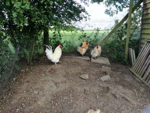 IMG-20170607-WA0018[1]