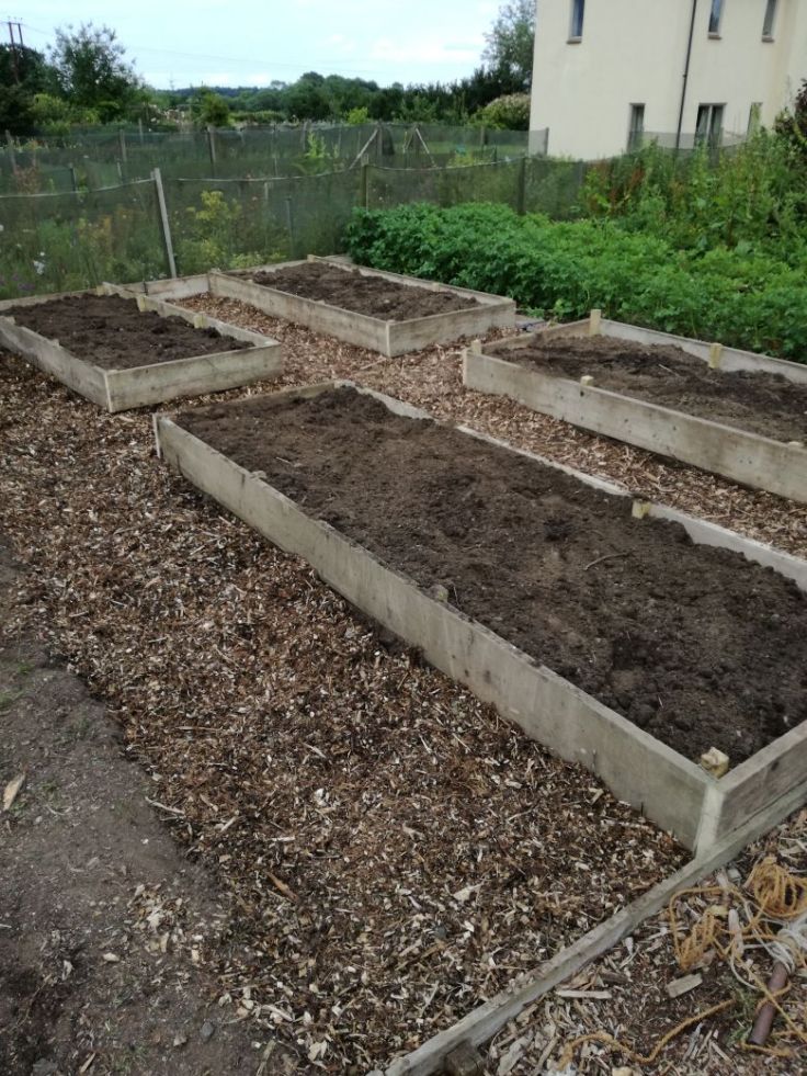 IMG-20170613-WA0035[1]