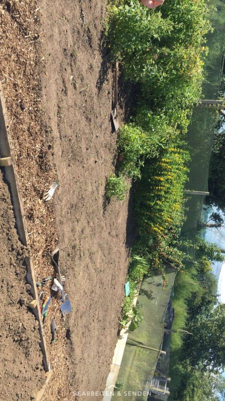 IMG-20170615-WA0001[1]